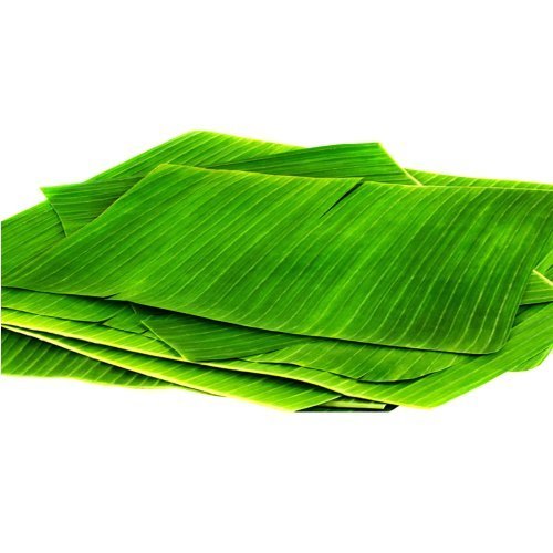 Tiffin Leaf