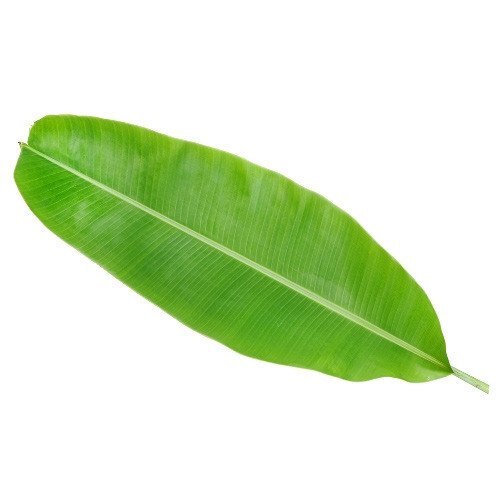 Single side Leaf